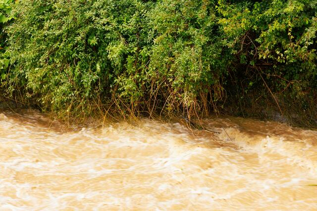Foto: Gerd Neuhold - Sonntagsblatt für Steiermark