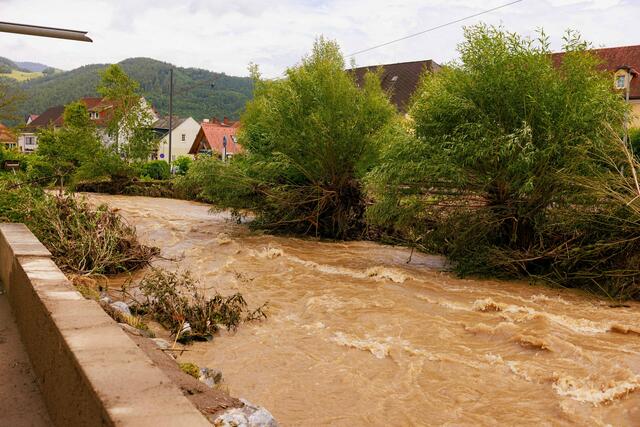 Foto: Gerd Neuhold - Sonntagsblatt für Steiermark