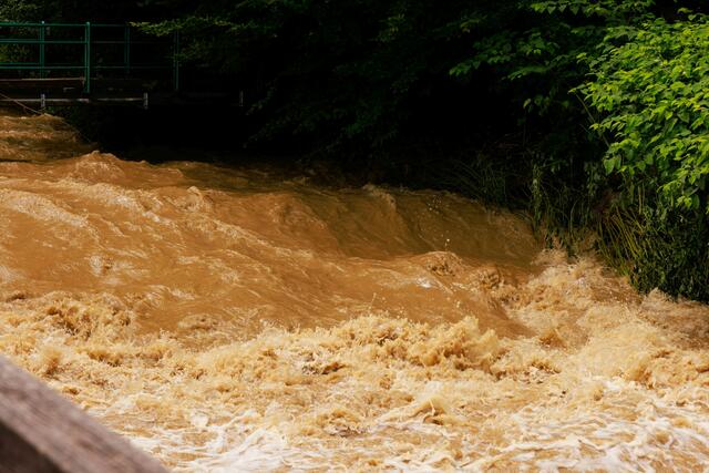 Foto: Gerd Neuhold - Sonntagsblatt für Steiermark