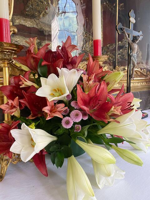 Über 300 Lilien...  | Foto: Kaltenhauser