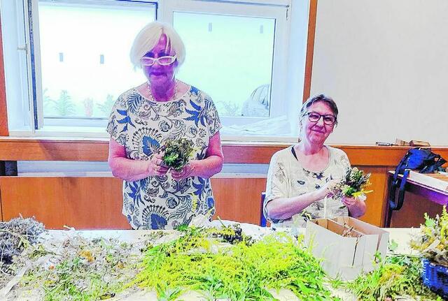 Mattersburg. Die Kräuterbuschen der kfb wurden in der Kirche gesegnet und gern in die Haushalte mitgenommen.