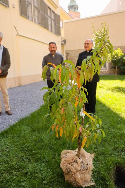 Foto: Gerd Neuhold/Sonntagsblatt für Steiermark