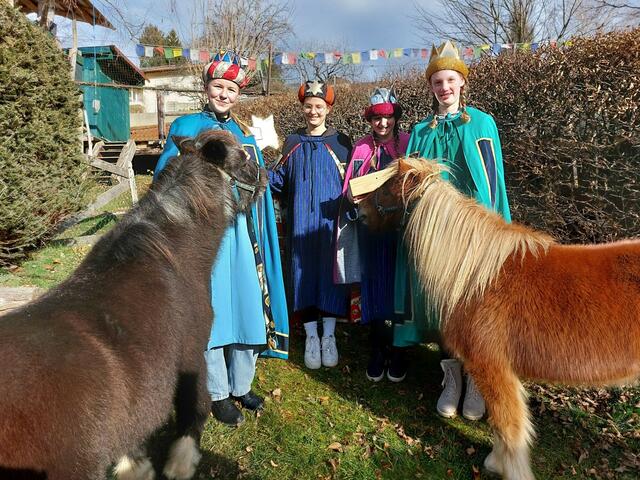 Vorau | Foto: Ponies Manfred Glößl