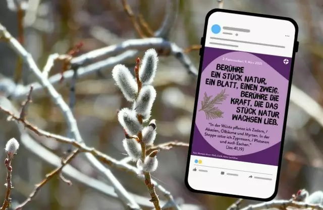 Zweimal in der Woche verschickt die Katholische Kirche Steiermark in der Fastenzeit kleine Impluse zum Innehalten.  | Foto: KK 