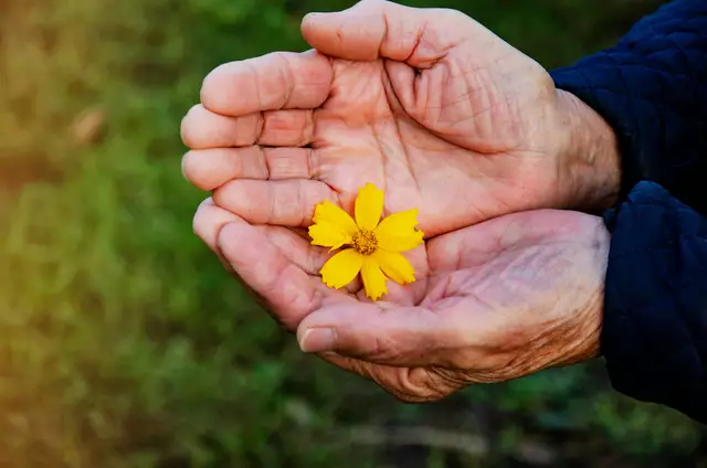 Foto: AdobeStock