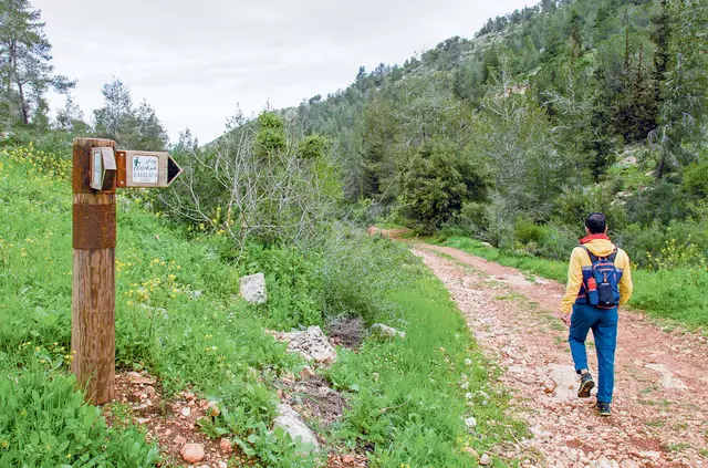 Wanderweg nach Emmaus. | Foto: Andrea Krogmann/KNA