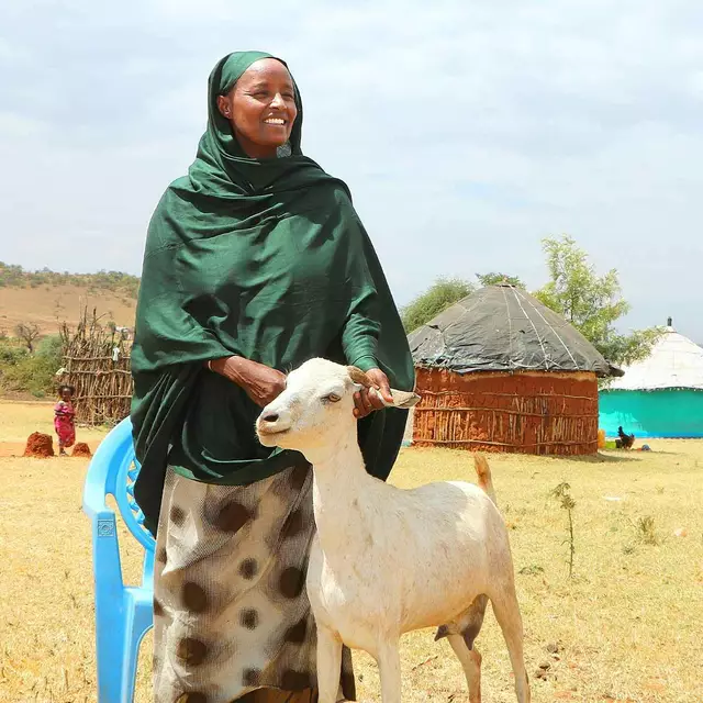 In Äthiopien versorgen Nutztiere Familien. Wegen großer Dürre sind viele Rinder und Ziegen verendet; Mütter und ihre Kinder brauchen Nothilfe zum Überleben.  | Foto: Sei So Frei