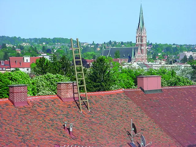 Erinnerung: Vier goldene Leitern ragten in der Ausstellung  „Himmelschwer“ bei „Graz 2003 – Kulturhauptstadt Europas“ durch die Dächer von Graz. | Foto: Johannes Rauchengerger
