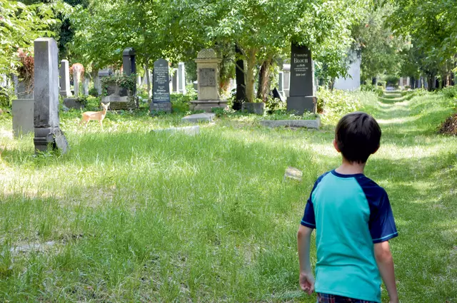 Der Zentralfriedhof in Wien ist nicht nur letzte Ruhestätte für zahlreiche Bürgerinnen und Bürger, sondern auch das Zuhause vieler Tiere, wie hier einem Reh (ganz links im Bild). | Foto: Andrea Harringer