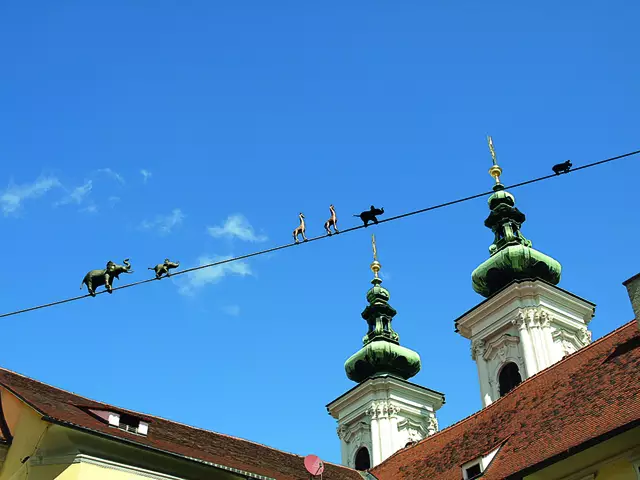 Erinnerung: Ein Zug von Tieren balancierte im Jahr 2011 in der Ausstellung „SO WHAT“ in schwindelnder Höhe über den Klosterhof der Minoriten. „Na und?“ | Foto: Johannes Rauchengerger