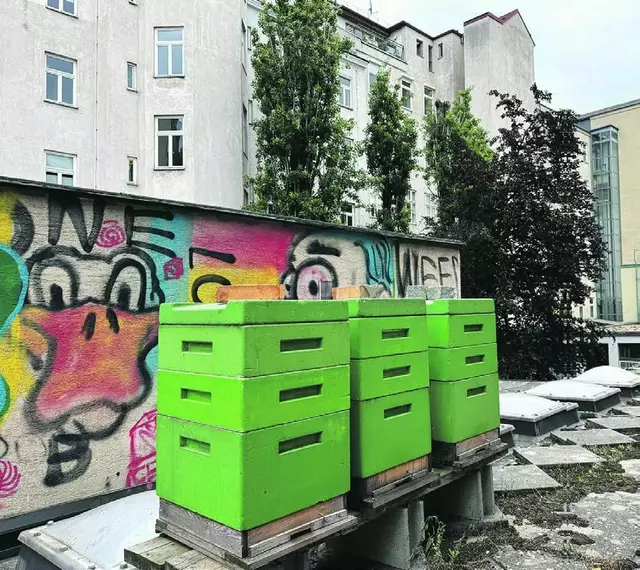 Ein ungewöhnlicher Platz für Bienenstöcke: Auf dem Dach des Pfarrheims von St. Florian (Wien 4) leben drei Bienenvölker. | Foto: Slouk