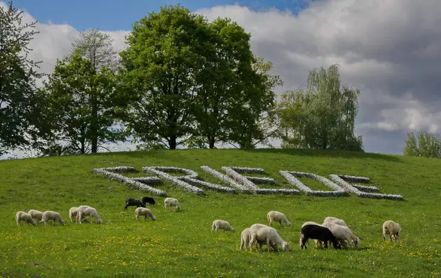 Foto: Haus der Stille