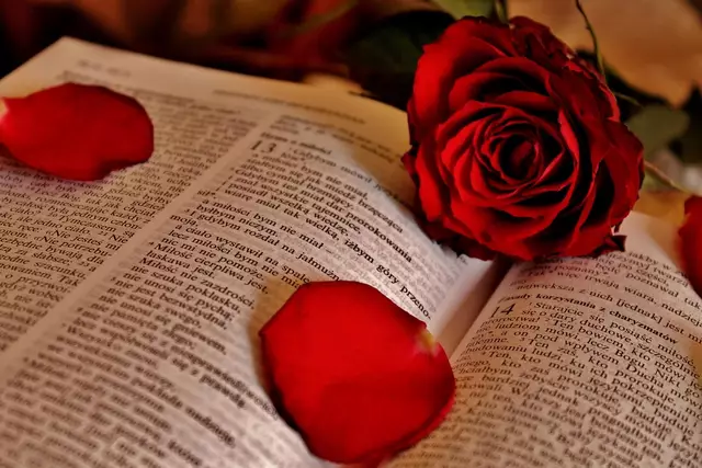 Foto: https://pixabay.com/de/photos/rose-heilige-bibel-gott-buchen-815369/