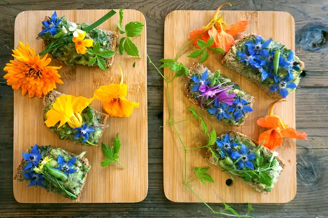 Das i-Tüpferl auf dem Teller. Essbare Blüten verwandeln Gerichte in einen wahren Blütentraum.  | Foto: pixabay/CC 0