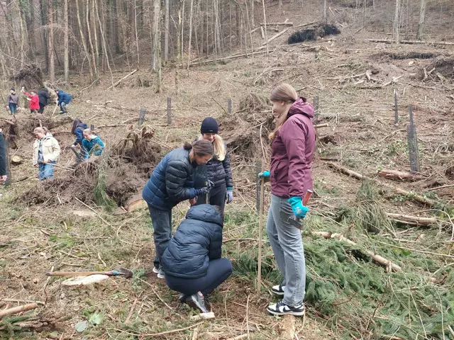 Die Firmvorbereitung im SR bietet vieles: Neben Kirchenkabarett, Jugendvesper u. a. gibt es jedes Jahr einen Waldworkshop mit Martina Laubreiter: Unter fachkundiger Anleitung werden nicht nur viele Bäumchen gepflanzt, sondern es wird auch Wissen über Klimaschutz und Biodiversität vermittelt.  | Foto: Handler
