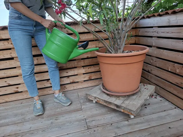 Gießen. Lieber selten ergiebig als täglich wenig wässern. | Foto: privat