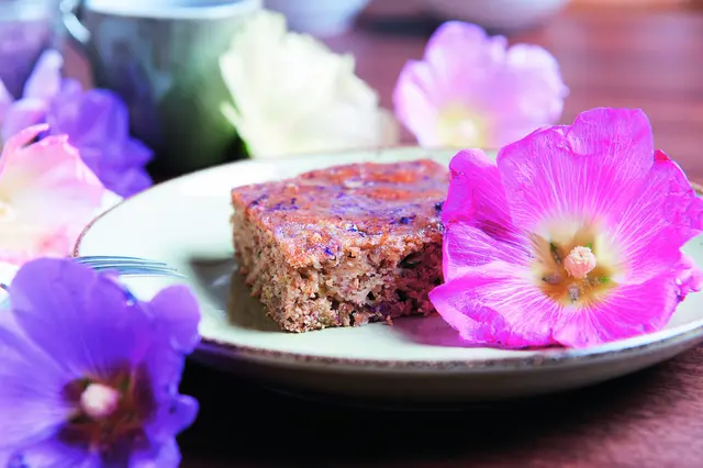 Zucchini-Stockrosen-Kuchen | Foto: Jaqueline Schmidsberger