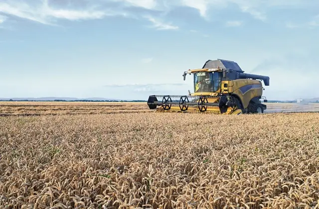 Unser Wirtschaften ist in vielen Bereichen ganz auf die „Sorge für das Morgen“ ausgerichtet. Dabei gerät allzu leicht in Vergessenheit, dass Gott für uns einen Schatz bereitet hat, der auch nicht für alle Güter dieser Welt zu erwerben ist.  | Foto: Ajdin Kamber - adobe.stock.com