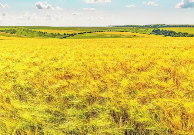 Im Vergleich zu Gott ist alles irdische Streben nur ein „Windhauch“. 
 | Foto: pixabay.com/NeilMorrell