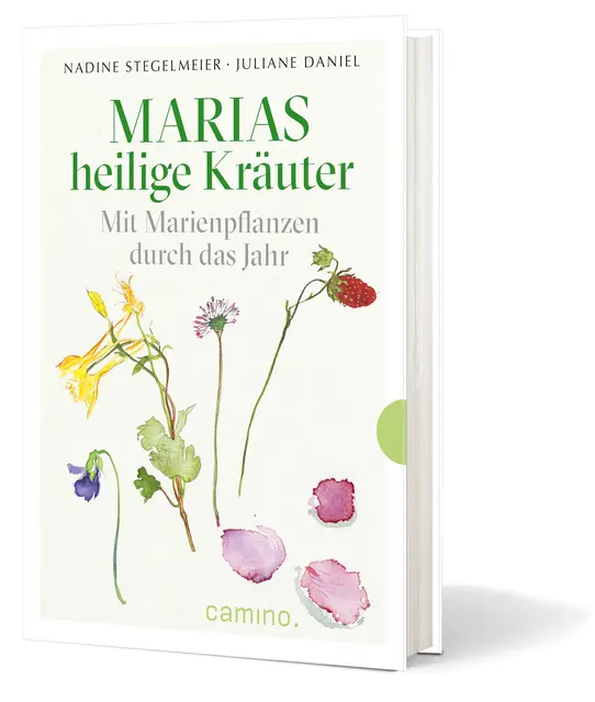 Mehr über Marienkräuter erfährt man in diesem schönen Buch.  | Foto: camino Verlag