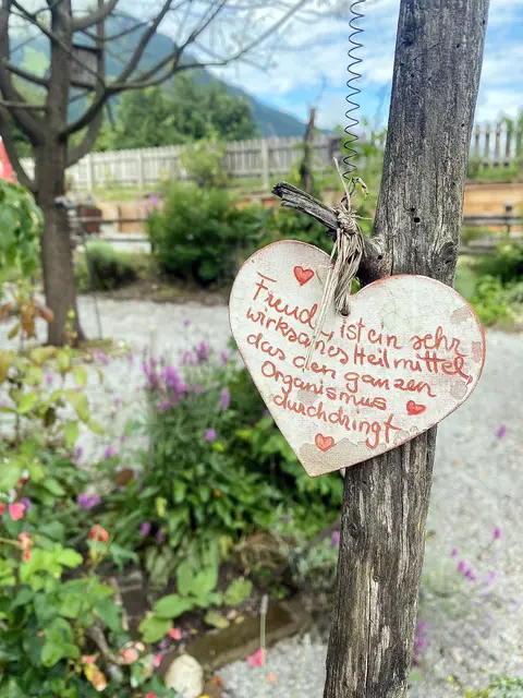 Heilkräftig sind nicht nur Kräuter, sondern auch Freude, Staunen und Dankbarkeit über die Wunder der Schöpfung.   | Foto: Kaltenhauser