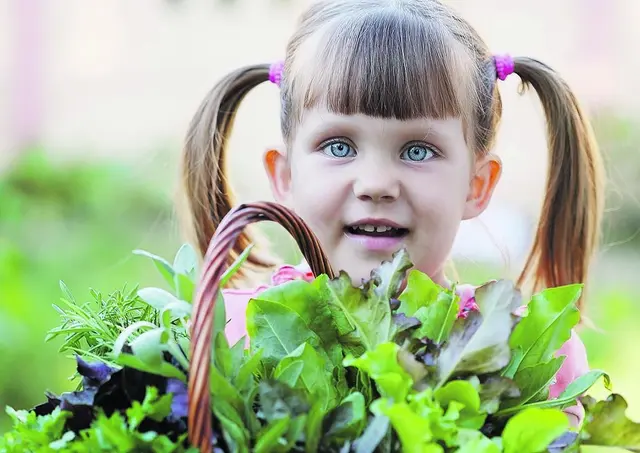 Ob dieses Mädchen mit Kräutern wohl Maria heißt? 
 | Foto: Mallivan/Adobe Stock