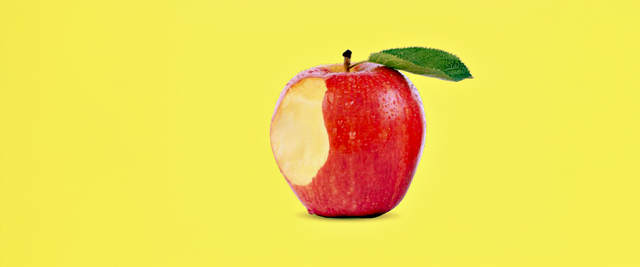 Gesund oder vergiftet? Ein herzhaft angebissener Apfel – mit märchenhaften Anklängen – ziert das Programmheft der Salzburger Hochschulwochen 2025. Die Sommer-Universität fand heuer unter dem Titel „Was uns leben lässt … und was uns (vielleicht) vergiftet“ statt. | Foto: SHW, Kathpress/Henning Klingen