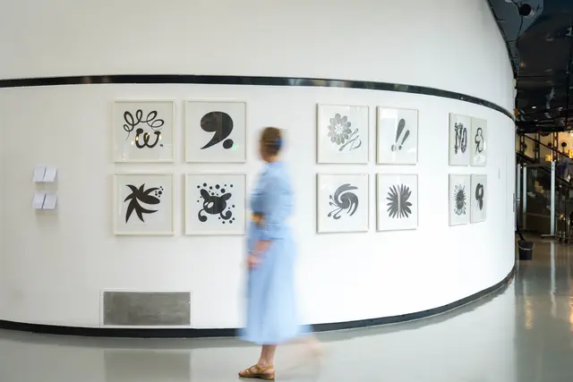 Andrea Scrima, LOOPY LOONIES: Ausstellungsansicht, Kunsthaus Graz, Mai 2024. Drei Gruppen von je vier Zeichnungen: EWWW, OWWW, NOOO, 52 × 52 cm gerahmt, Grafit auf Papier.  | Foto: Natascha Reiterer