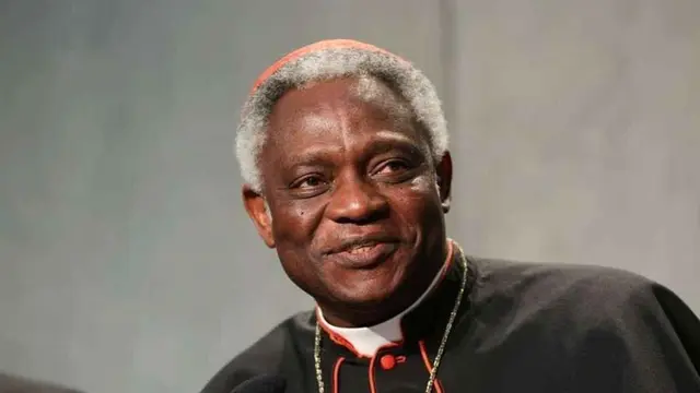 Kardinal Peter Turkson, der Kanzler der Päpstlichen Akademien der Wissenschaften, nimmt am internationalen Klima-Gipfel in Wien teil. | Foto: Vatican Media