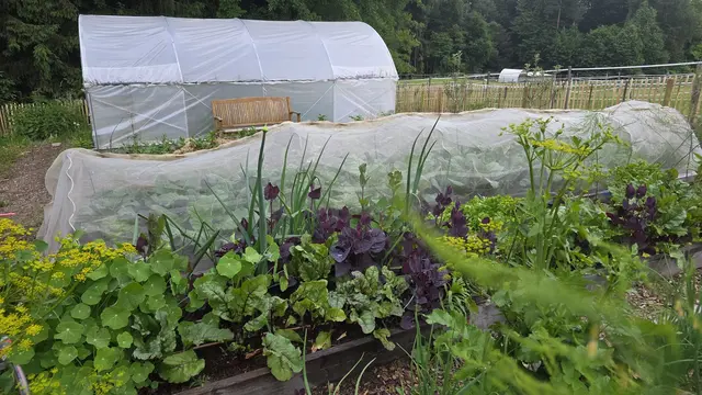 Frühbeet oder Folientunnel. Der Einsatz lohnt sich – denn Wintergemüse bietet nicht nur kulinarischen Genuss, sondern auch ein Stück Unabhängigkeit und gesunde Ernährung in einer Zeit, in der viele auf Importware zurückgreifen müssen. | Foto: privat