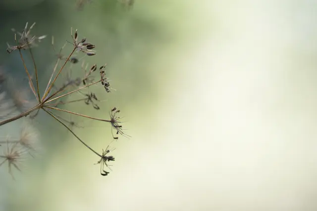 Foto: blaustern fotografie 