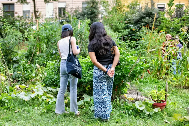 Foto: Gerd Neuhold/Sonntagsblatt