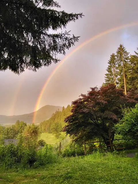 Foto: Rachel Wilbrink