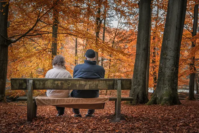 Im Herbst des Lebens stellt sich die Frage nach der eigenen Lebensbilanz.  | Foto: pixabay