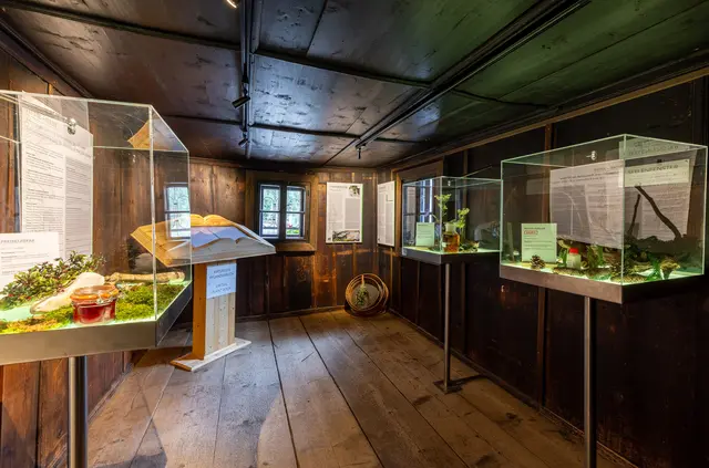 Mit der Erhalt des Mesnerhauses in der Sölk wird alte Bausubstanz bewahrt, die nun als Museum genutzt, die Geschichte des Ortes und der Region erzählt. | Foto: Harald Steiner