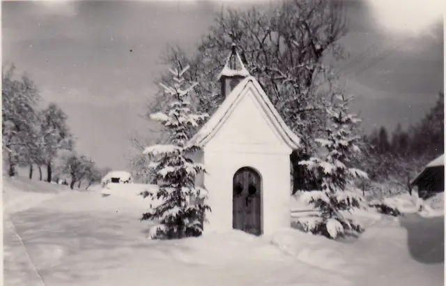 Foto: Friedl / Andorfer