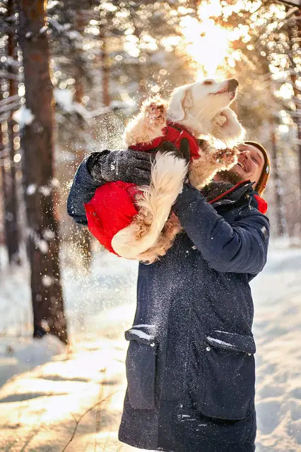 Foto: Pexels/Anna Galimova