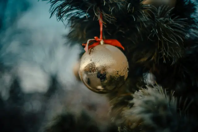 Foto: raimond klavins–unsplash.com