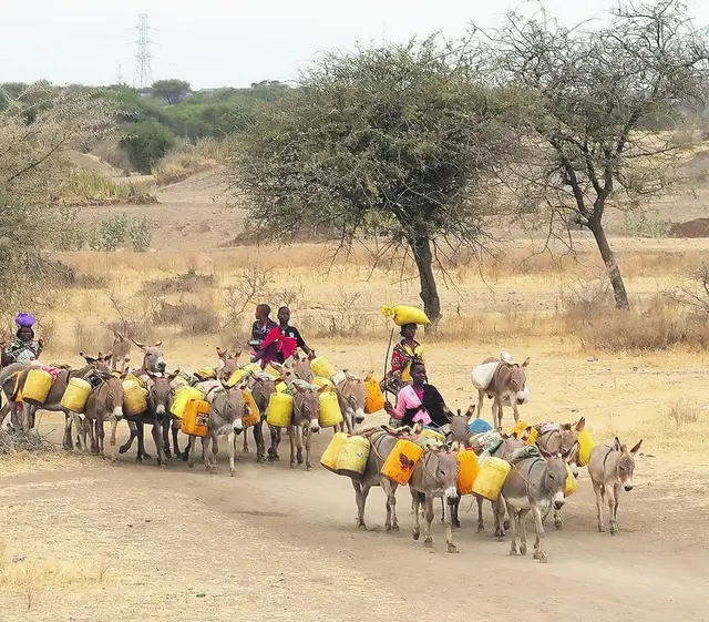 Die Dreikönigsaktion unterstützt in Tansania auch Brunnenbau. Wasserholen ist anstrengend und riskant. Raubtiere und Menschen mit bösen Absichten machen den Weg gefährlich.