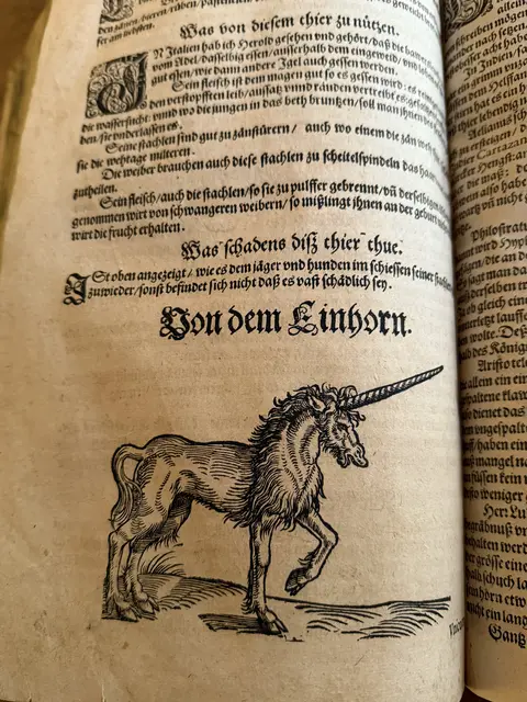 Das Einhorn erwähnt Conrad Gesner in seinem "Thierbuch" als wahrscheinlich existierendes Tier. | Foto: Patricia Harant-Schagerl