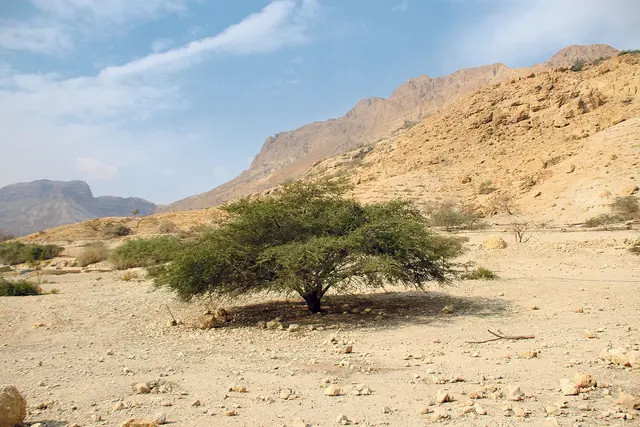 Die Kargheit der Wüste kann für den Glauben fruchtbar sein.  | Foto: nie/kiz