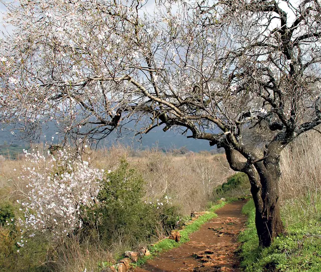 Auf den Wegen des Lebens mit Gott unterwegs.  | Foto: nie/kiz
