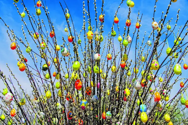 Der geschmückte Osterstrauch | Foto: LianeM-stock.adobe.com