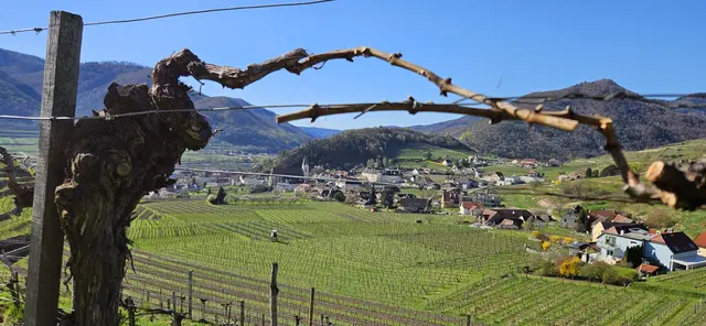 Blick auf Spitz | Foto: Johann Schilcher