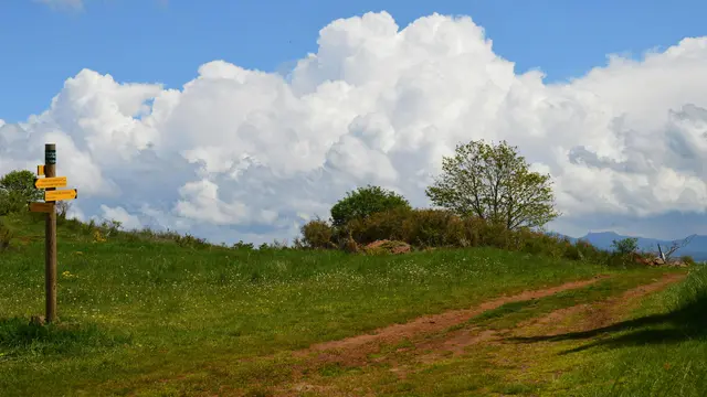 Berufung – kein Ziel, sondern ein Weg mit unzähligen Abzweigungs- und Umkehrmöglichkeiten. 
 | Foto: Am Jakobsweg, Pexels