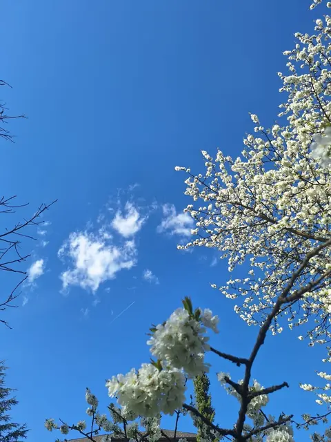 Foto: Heidemarie Ithaler-Muster