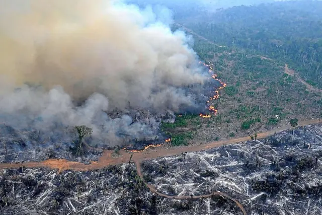 In Bolivien oder Brasilien werden Waldbrände gelegt, um Agrarland zu gewinnen. | Foto: ciclovivo