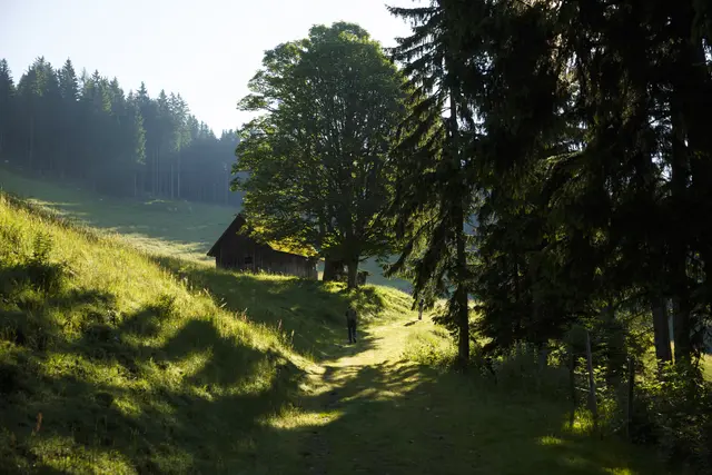 Wiese, Lichtung, Wald – hier am Pilgerweg nach Mariazell, zwischen Straßegg und Schanz: Auf Menschen wirken Wälder beruhigend und stresslösend. So verlangsamt sich bei einem Waldspaziergang nachweislich der Herzschlag und innere Unruhe weicht dem Gefühl von Entschleunigung.  | Foto: Neuhold