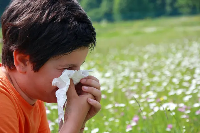 Pollen machen keine Sommerferien | Foto: ChiccoDodiFC - stock.adobe.com