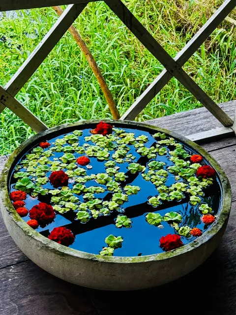 Mit einer gefüllten Schale fällt es leichter, aus dem Geist zu leben.  | Foto: Sadia Alma/unsplash.com